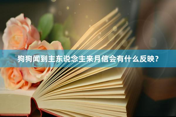 狗狗闻到主东说念主来月信会有什么反映？