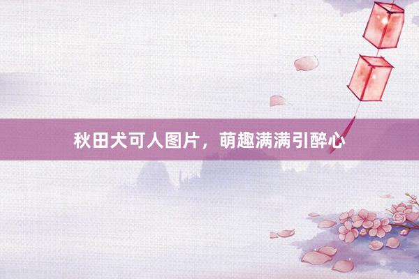 秋田犬可人图片，萌趣满满引醉心
